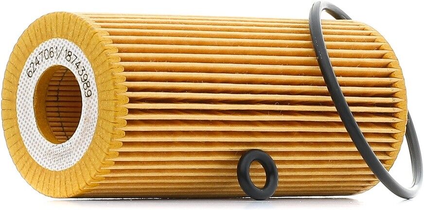 RIDEX PLUS 100908O0116P Oil change kit (oil filter + engine oil)