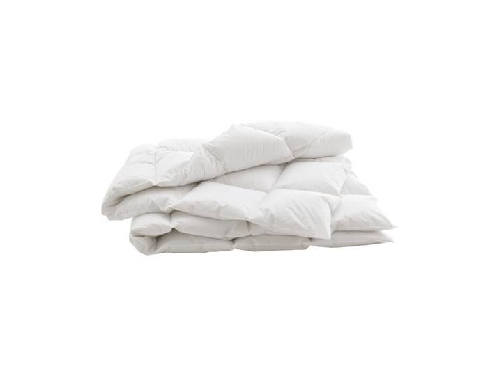 Billerbeck Daunen Kassettenduvet Swiss Dream Caro medium – 240x240 cm