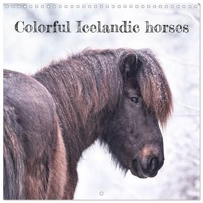 Colorful Icelandic horses (Wall Calendar 2027 12 × 12 Inch) CALVENDO 12 Month Wall Calendar