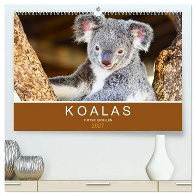 Koalas, putzige Gesellen (hochwertiger Premium Wandkalender 2027 DIN A2 quer), Kunstdruck in Hochglanz