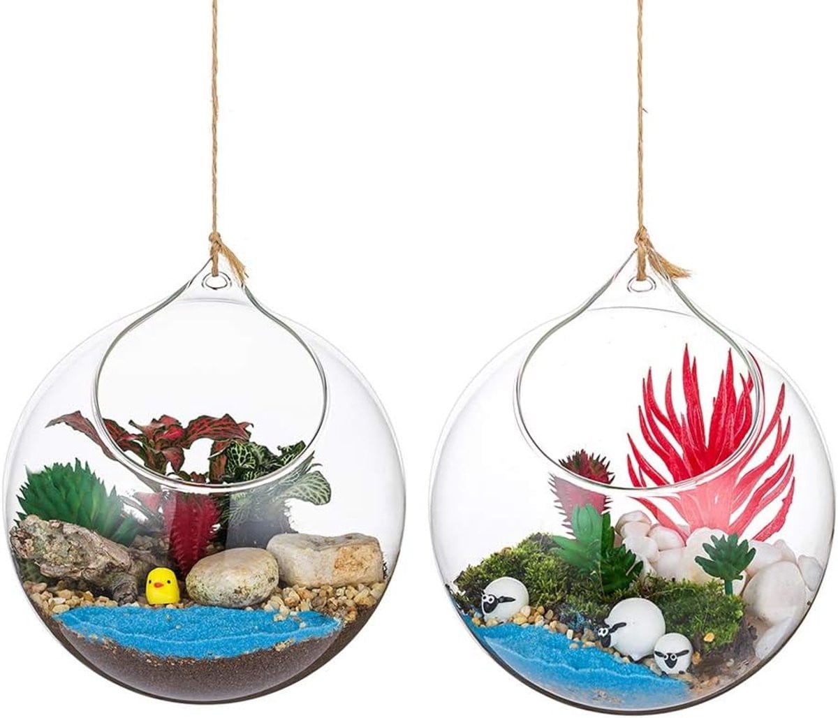 Set van 2 Glazen Terrarium Bollen voor Planten - Hangers voor DIY Decoratie - Diameter: 12 cm