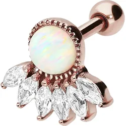 Chirurgenstahl Ohrpiercing 6 EINGEFASSTE KRISTALLE + SYNTHETISCHER OPAL