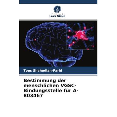 Bestimmung der menschlichen VGSC-Bindungsstelle für A-803467, Taschenbuch von Tous Shahedian-Farid, Verlag Unser Wissen, 978-620-4-61135-8