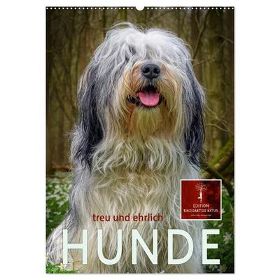 Hunde - treu und ehrlich (Wandkalender 2027 DIN A2 hoch), CALVENDO Monatskalender