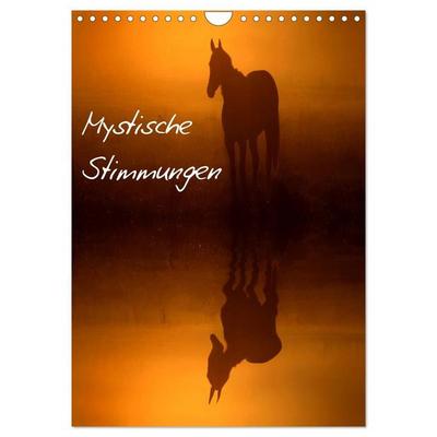 Mystische Stimmungen (Wandkalender 2027 DIN A4 hoch), CALVENDO Monatskalender
