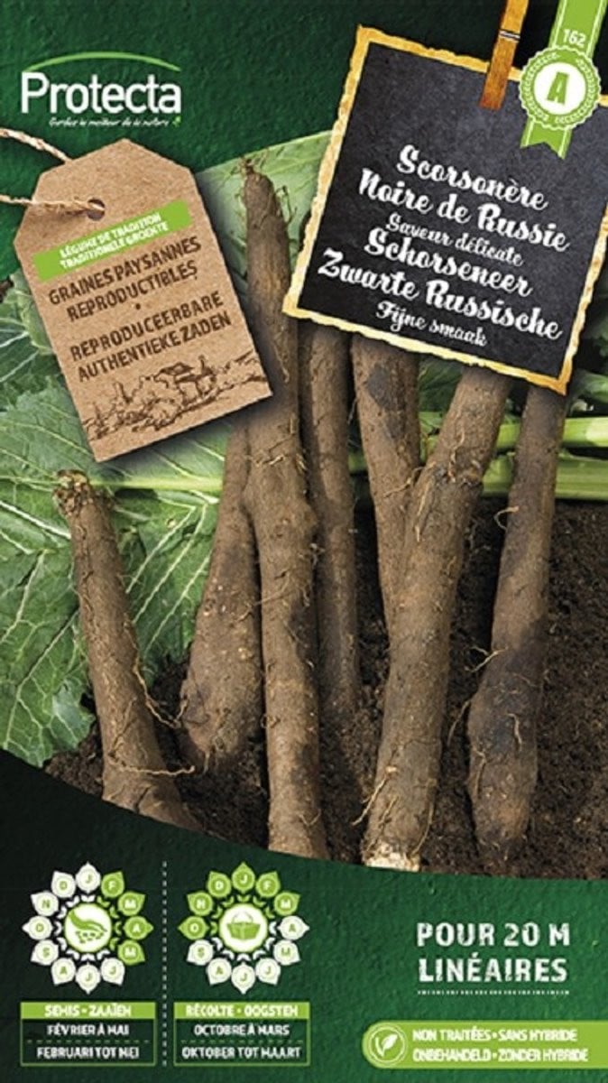 Protecta Schorseneer Zwarte Russische Groentezaden