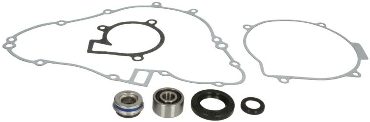 Pompe à eau WINDEROSA W821860