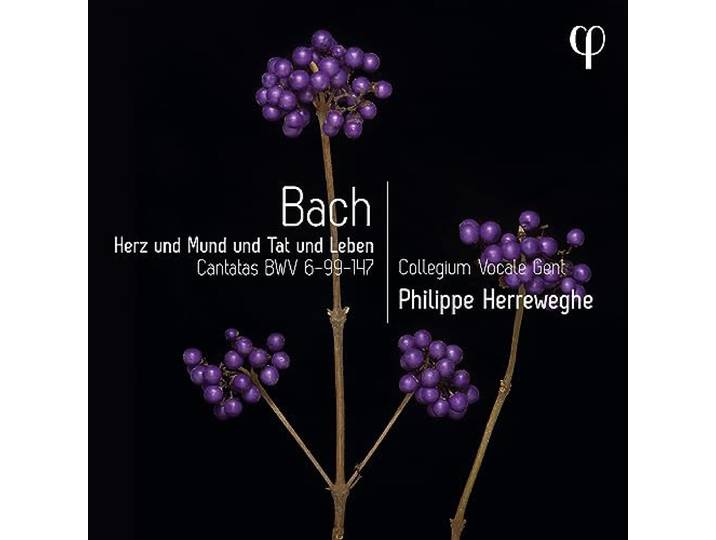 Herz und Mund und Tat und Leben - Cantatas Bwv 6-9