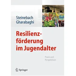 Resilienzförderung im Jugendalter, Fachbücher von Kiaras Gharabaghi, Christoph Steinebach