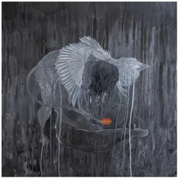 Every Rock Every Half-Truth Under Reason (Blk), Schallplatten