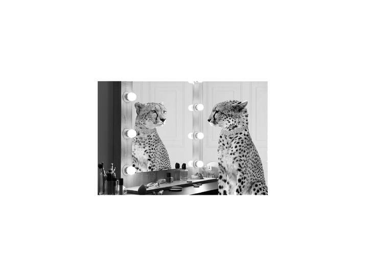 Glasbild „Gepard Starlet“ 80 x 120 cm Multicolor Crea Collection