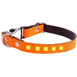 Martin Sellier Fluo (Hund, Spazieren), Halsband + Leine