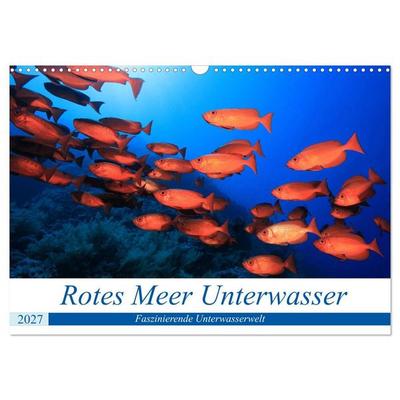 Rotes Meer Unterwasser (Wandkalender 2027 DIN A3 quer), CALVENDO Monatskalender