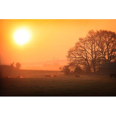 Fototapete PAPERMOON "Sonniger nebliger Sonnenaufgang", bunt, B:4,5m L:2,8m, Vlies, Tapeten