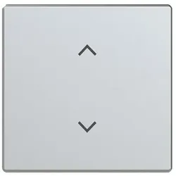 Busch-Jaeger Wippe 1-fach 6735-11-866