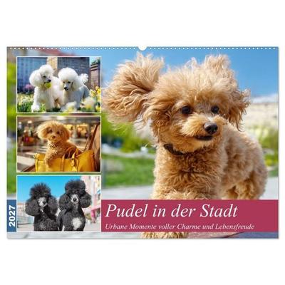 Pudel in der Stadt. Urbane Momente voller Charme und Lebensfreude (Wandkalender 2027 DIN A2 quer), CALVENDO Monatskalender