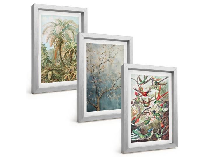 BILDER SET 3er Set - 20x30 cm Silberner Rahmen - Tropische Pflanzen, Vögel, Natur