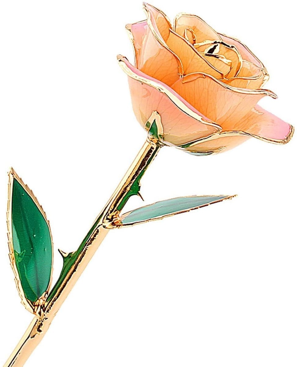 24K Vergulde Echte Roos in Champagnekleur - Luxe Cadeau voor Valentijnsdag