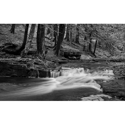 Papermoon "Wasserfall Schwarz & Weiß"