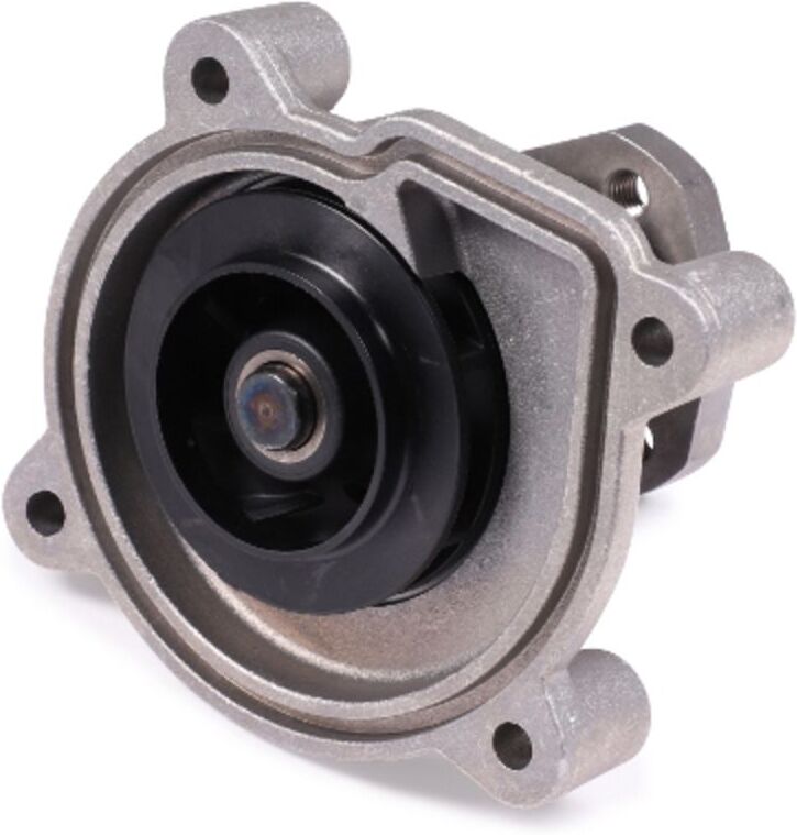 Wasserpumpe HEPU P581