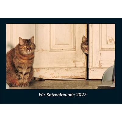 Für Katzenfreunde 2027 Fotokalender DIN A4