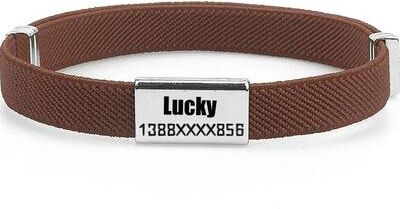 Uplift Essentials Custom Engraved Smart Tag Safety Collar brown