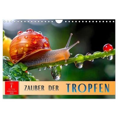 Zauber der Tropfen (Wandkalender 2026 DIN A4 quer), CALVENDO Monatskalender