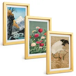 BILDER SET 3er Set - 20x30 cm Goldrahmen - Berglandschaft, Fluss, Blumen, Kraniche