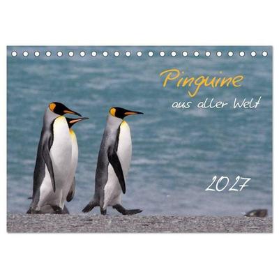 Pinguine aus aller Welt (Tischkalender 2027 DIN A5 quer), CALVENDO Monatskalender