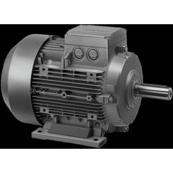 MSF-Vathauer Antriebstechnik Drehstrommotor GM 80/2 20 100027 0007 0.75 kW 230 V/400 V B3 2850 U/min