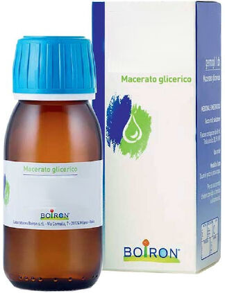 Rosmarinus Officinalis Macerato Glicerico 60ml Boiron