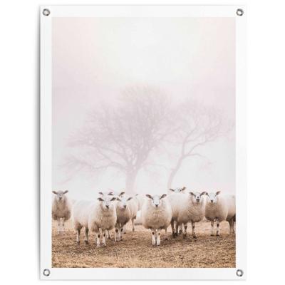 Poster REINDERS "Schafe im Nebel", beige (farbe bild(er): beige), B:60cm H:80cm T:0,1cm, Leinwand, Bilder, Poster, Outdoor für Garten oder Balkon