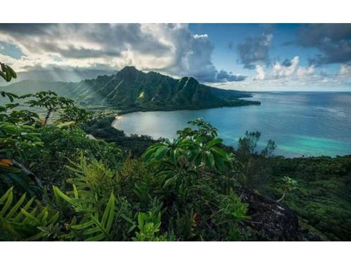 Poster XXL Impression Numérique\, 450cm x 280cm\, Île de Jurassic