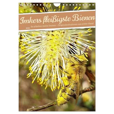Imkers fleißigste Bienen - So arbeiten meine Immen – Originalaufnahmen aus erster Hand (Wandkalender 2026 DIN A4 hoch), CALVENDO Monatskalender
