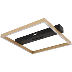 Deckenleuchte Wohnzimmerleuchte Deckenlampe LED Gold Schwarz Memory L 43 cm