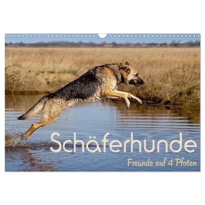 Schäferhunde - Freunde auf 4 Pfoten (Wandkalender 2027 DIN A3 quer), CALVENDO Monatskalender