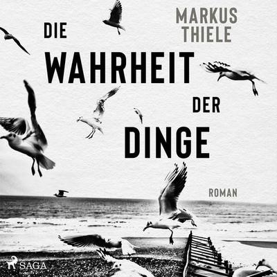 Die Wahrheit der Dinge - Markus Thiele, Audio, 9788726870626