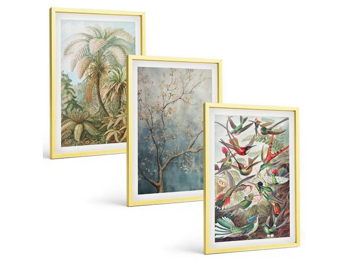 Tulup Bilder SET 3er Set - 40x60 cm Goldrahmen - Tropische Pflanzen, Vögel, Natur, Goldfarben, Kunststoff, Rechteckig, 40x60 cm, gerahmt, Bilder & Rahmen, Bilder
