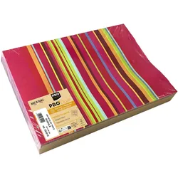 PROnappe Platzsets Bunt 30 x 40 cm mehrfarbig