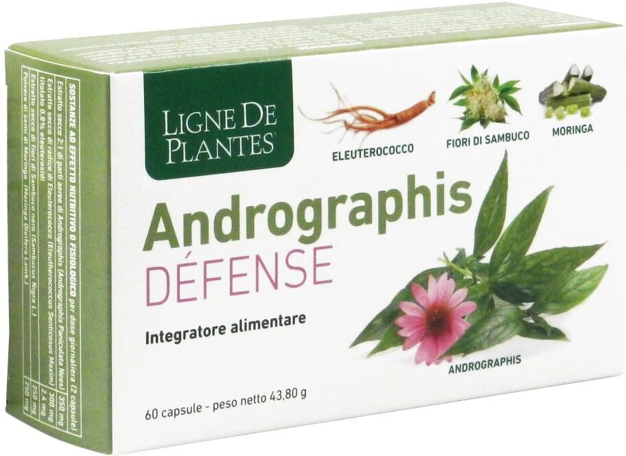 NATURA SERVICE Srl Andrographis Défense Integratore Alimentare  - 60 Capsule