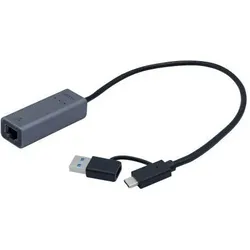Générique Usb-Cgigabit Ethernet Converter + USB Type-A Plug Adapter (USB-C, RJ45 (1x)), Netzwerk Adapter, Grau