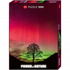 Heye Puzzle - Sycamore Gap - 1000 Teile 301543