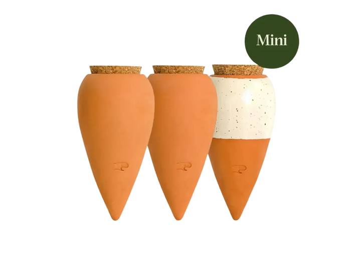 Bewässerungskegel Mini Ollas Klassik 3er Set