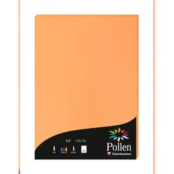 Pollen 10x Papier A4 Pollen 120g 50 Blatt - Clementine 4208C
