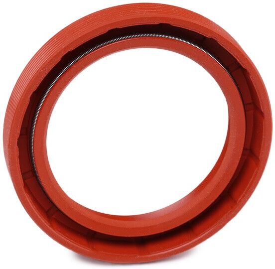 REINZ 81-25789-00 Crankshaft seal