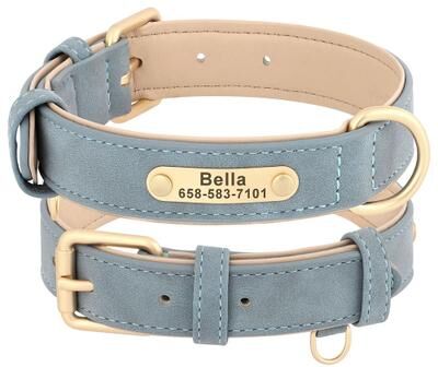 Uplifted Finds Custom Personalized Engraved PU Leather Dog Collar blue m