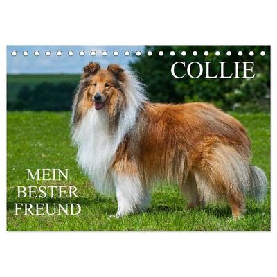 Collie - Mein bester Freund (Tischkalender 2027 DIN A5 quer), CALVENDO Monatskalender