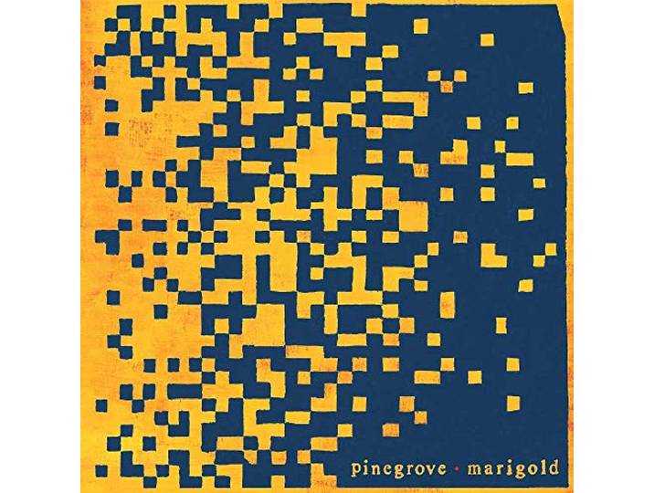 Marigold (Marigold Yellow)