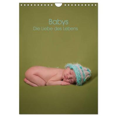Babys - Die Liebe des Lebens (Wandkalender 2027 DIN A4 hoch), CALVENDO Monatskalender
