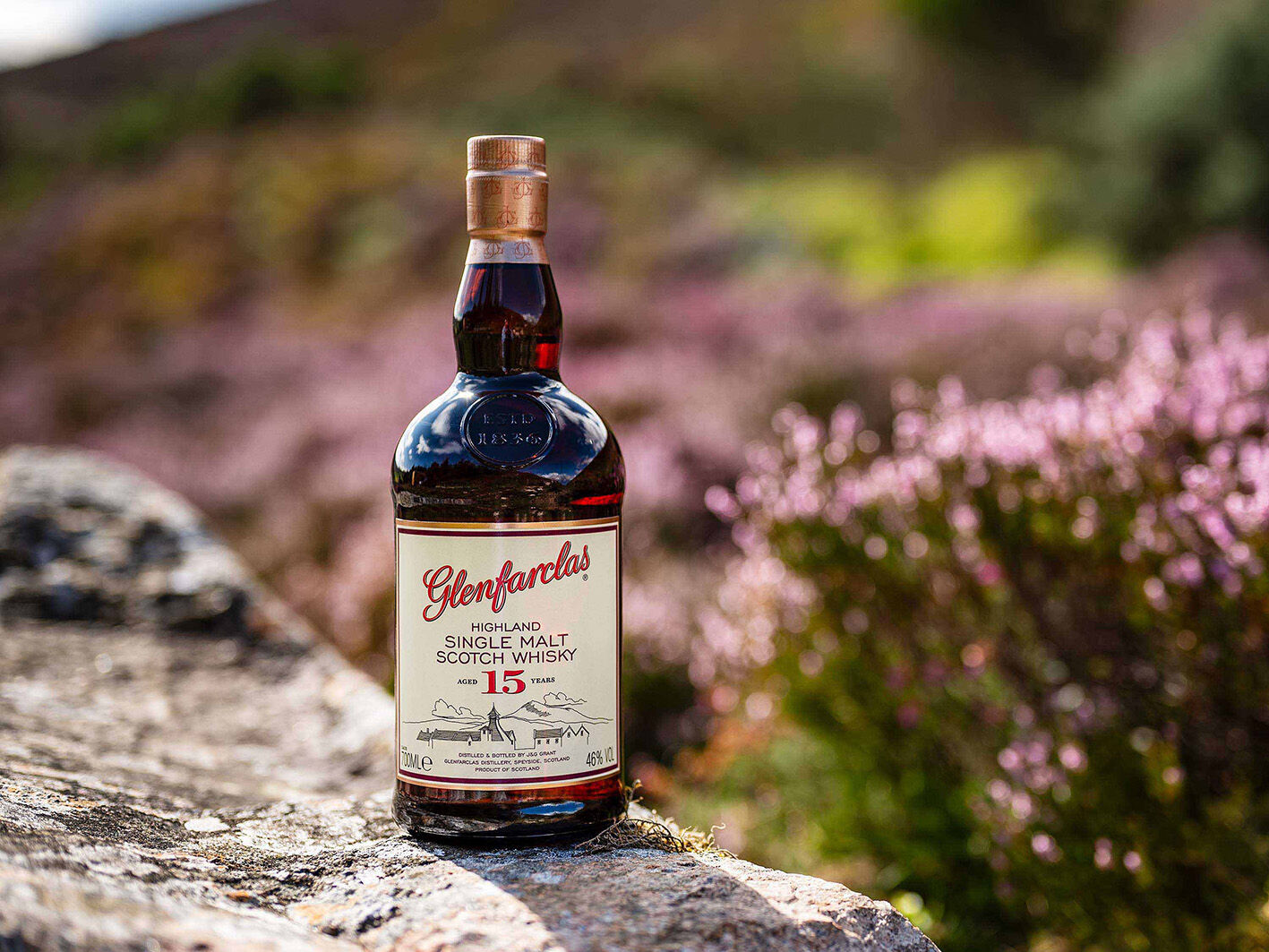 GLENFARCLAS Highland Single Malt Scotch Whisky 15 Jahre mit Geschenkbox 46% Vol